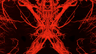 Claustrophobics should probably avoid the new<i> Blair Witch</i> trailer